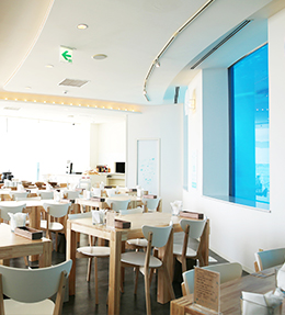 イルカの見えるレストラン